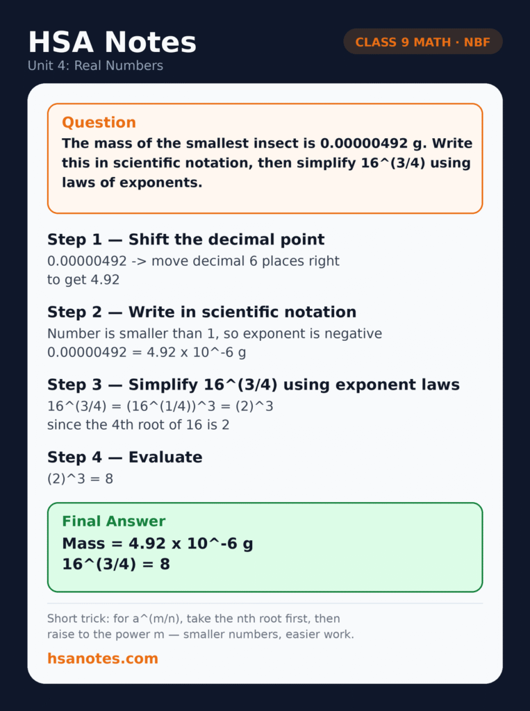 Functional Math 9 Unit 4 Real Numbers applied question: writing the mass of the smallest insect in scientific notation and simplifying 16 to the power 3 over 4